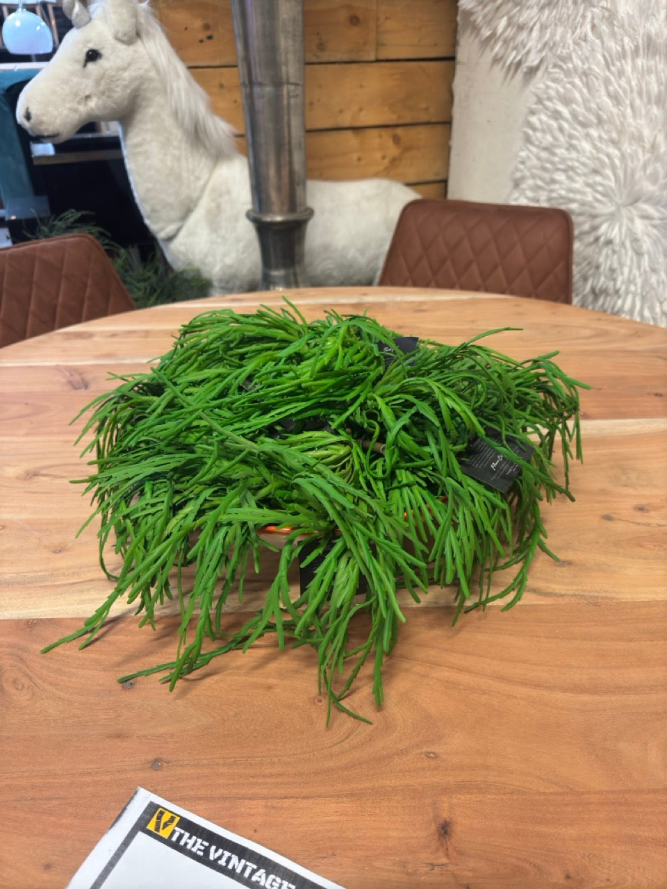 Ronde eettafel + 6 Stoelen + Pot Gratis Retour24