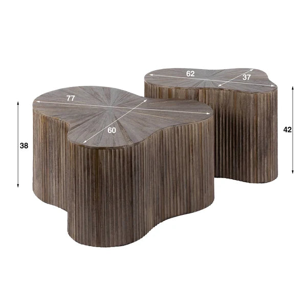 Salontafel Solene - Japandi - Organisch - Teakhout - Set van 2 (internet retour)